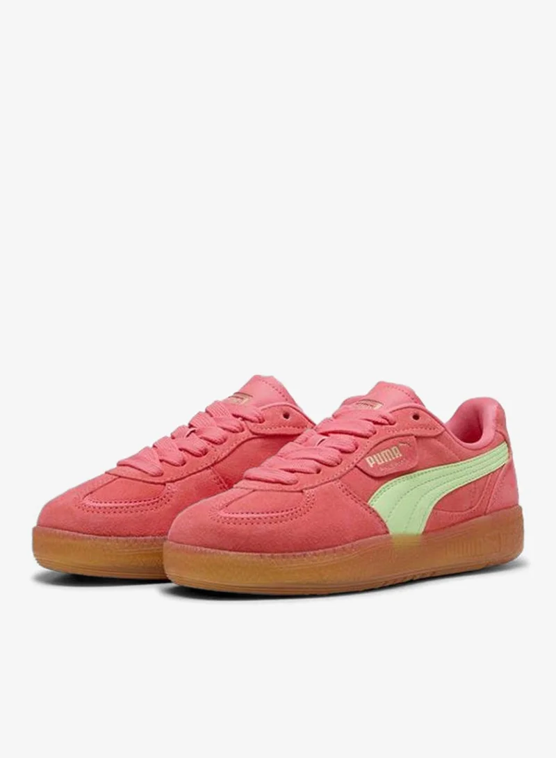Puma pink Palermo Moda Xtra Gum for Women | Best Price UAE