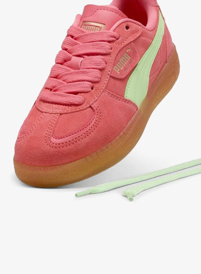 Puma pink Palermo Moda Xtra Gum for Women | Best Price UAE