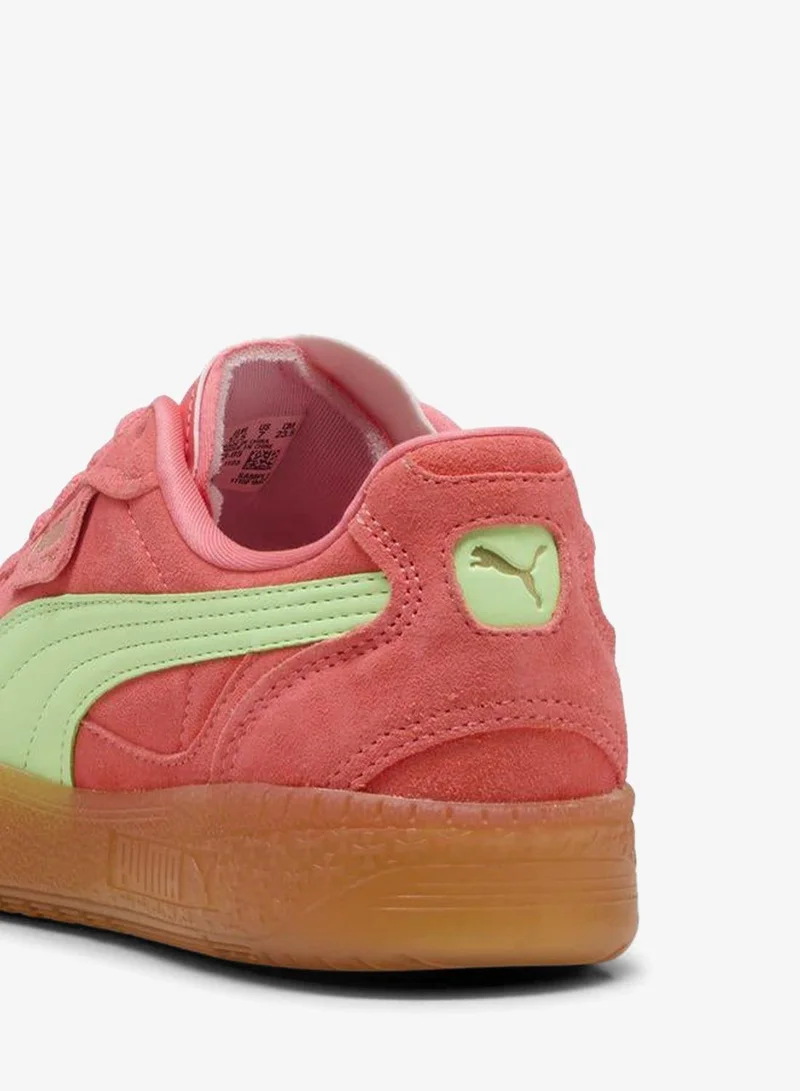 Puma pink Palermo Moda Xtra Gum for Women | Best Price UAE