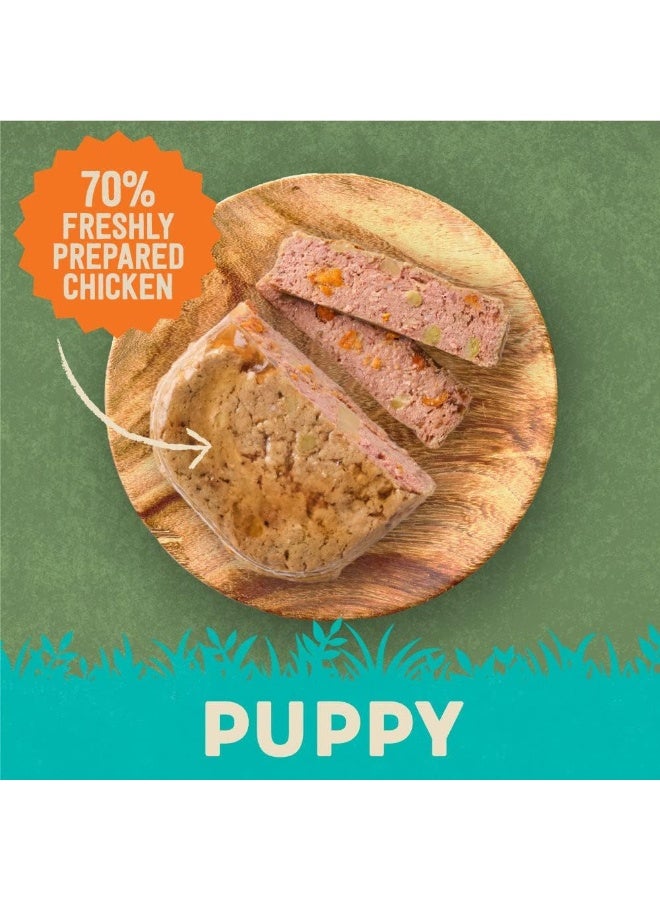 Harringtons Chicken & Potato Puppy Wet Food 380g - Image 2