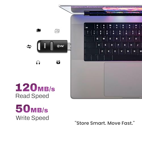 EVM EnX 256GB USB 3.2 Gen 1 Flash Drive | Exceptional 120MB/s Read | Sturdy Premium Metal Body | Convenient Integrated Key Loop | Laptop Desktop Smart TV Car Stereo | 10 Years Warranty (ENX/256GB) - Image 4