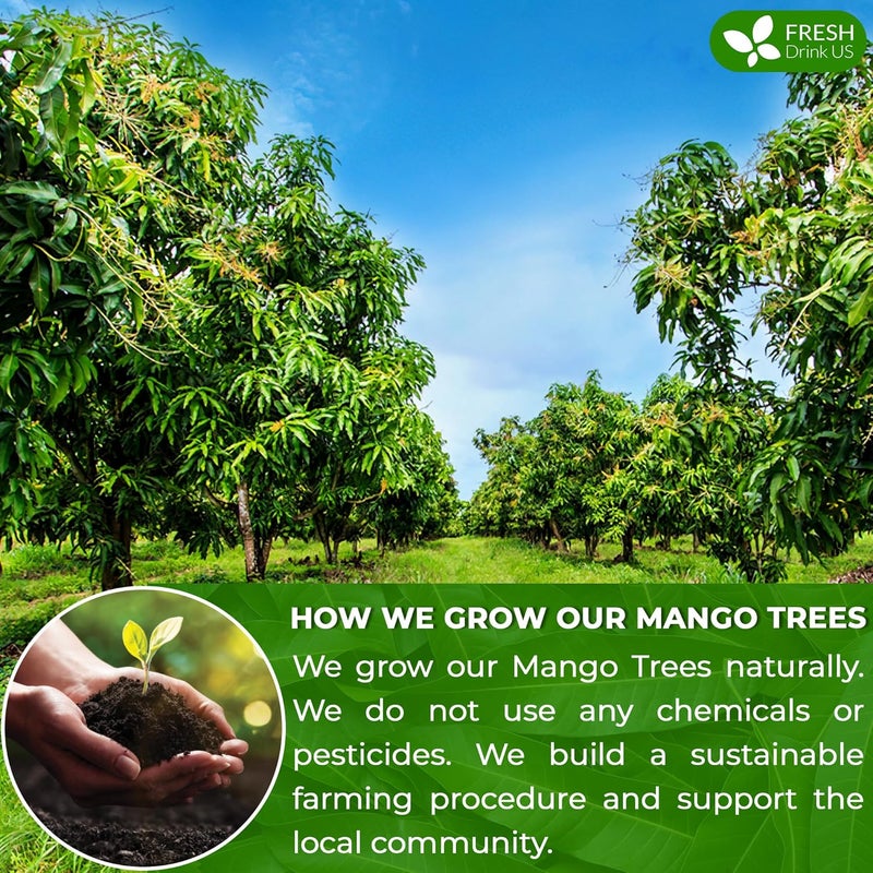 FRESHDRINKUS Premium Mango Leaf Tea Bags - Image 5