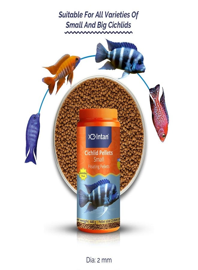 Intan Aquatic Cichlid Pellets Fish Food | Small Floating Pellets for Cichlid Fish Health and Growth | Jumbo Pack 440 gram, Pellet Size 2 mm Dia, Pack of 1 - Image 2