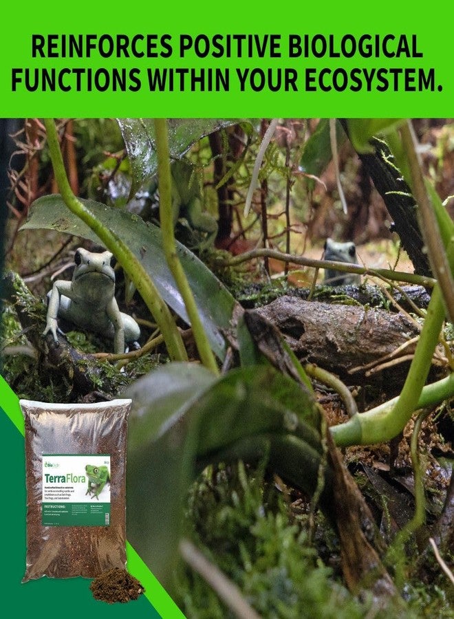 BIODUDE The Bio Dude Terra Flora Bioactive Reptile Substrate for terrariums and vivariums - Image 5