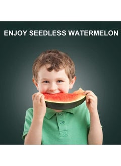 Watermelon Seed Remover Tool，Stainless Steel Fruit Seed Removal Tool Kitchen Corer Tool - pzsku/Z42FB00F81F6F4F5171CEZ/45/_/1736747809/dd4e372f-e3f7-4bdb-a505-806c5750bb16