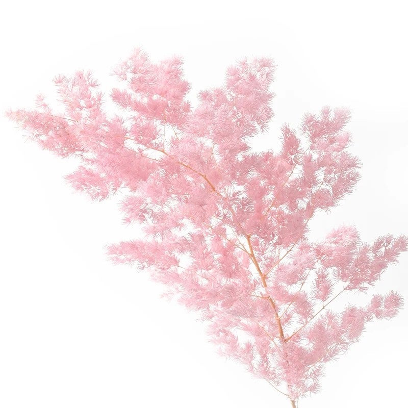 Bluejw High-End Luxury Nordic Style Wedding & Home Decor with Eternal Dried Penglai Pine Real Branch Arrangements – Preserved Dried Plants for Elegant Long-Lasting Display - Image 1