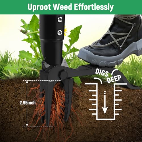 GOXAWEE Weed Puller Tool 4Claw Stand Up Weeder with Adjustable 46 Handle for Remove Weeds Without Bending Pulling or Kneeling - Image 3