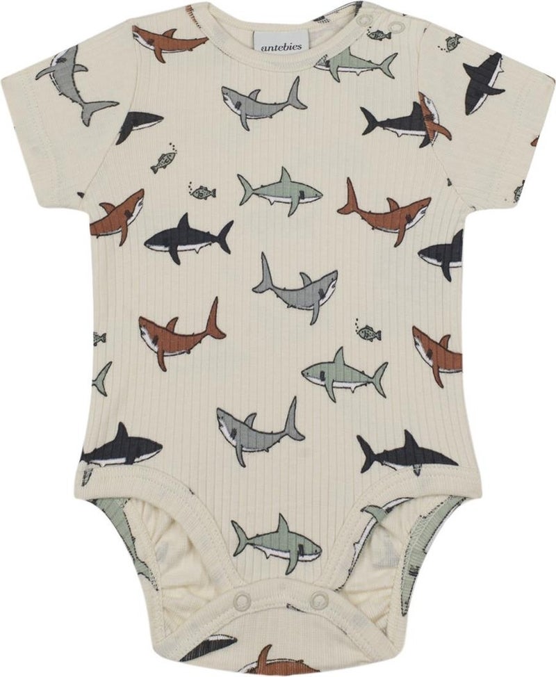 Antebies Shark Body