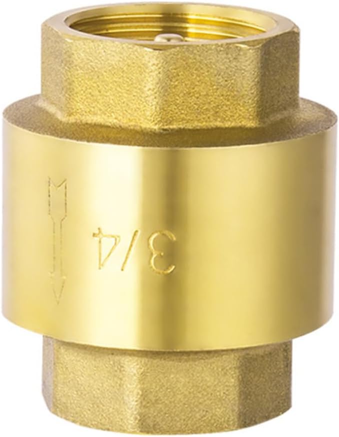 Brass Vertical Check Valve DN20 3 4 Inch Anti Backflow Preventer For Automotive Industrial - Image 1
