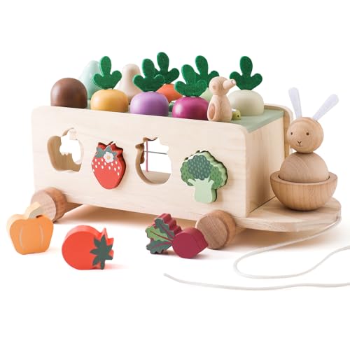OESSUF Montessori Toys Toddlers Wooden Educational Toys for Baby Boys Girls Shape Sorting Matching Fine Motor Skills Toys Birthday Gifts for Kids - Image 1