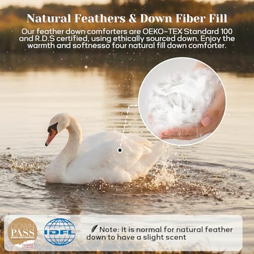 Joysoul Queen Size Down Comforter - All Season Ultra Soft Goose Down & Feather Fiber Fill, Luxury Hotel Sage Green Duvet Insert with Corner Tabs (88" X 88") - Image 5