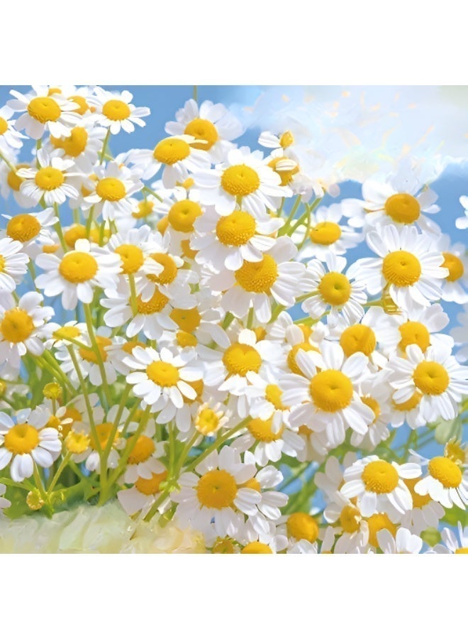 Gardener-Recommended Seasonal Flower Collection for All Soil Types - Image 2