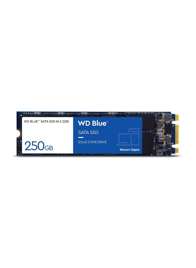 Western Digital Western Digital 250GB WD Blue 3D NAND Internal PC SSD - SATA III 6 Gb/s, M.2 2280, Up to 550 MB/s - WDS250G2B0B 