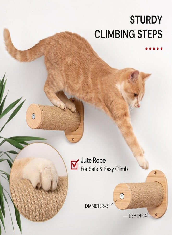 7 Ruby Road Cat Hammock Wall Mounted Shelf with Two Steps Set - Wall Shelves and Perches for Sleeping, Playing, Climbing and Lounging - Modern Cat Bed & Furniture for Indoor and Large Cats or Kitty - Image 5
