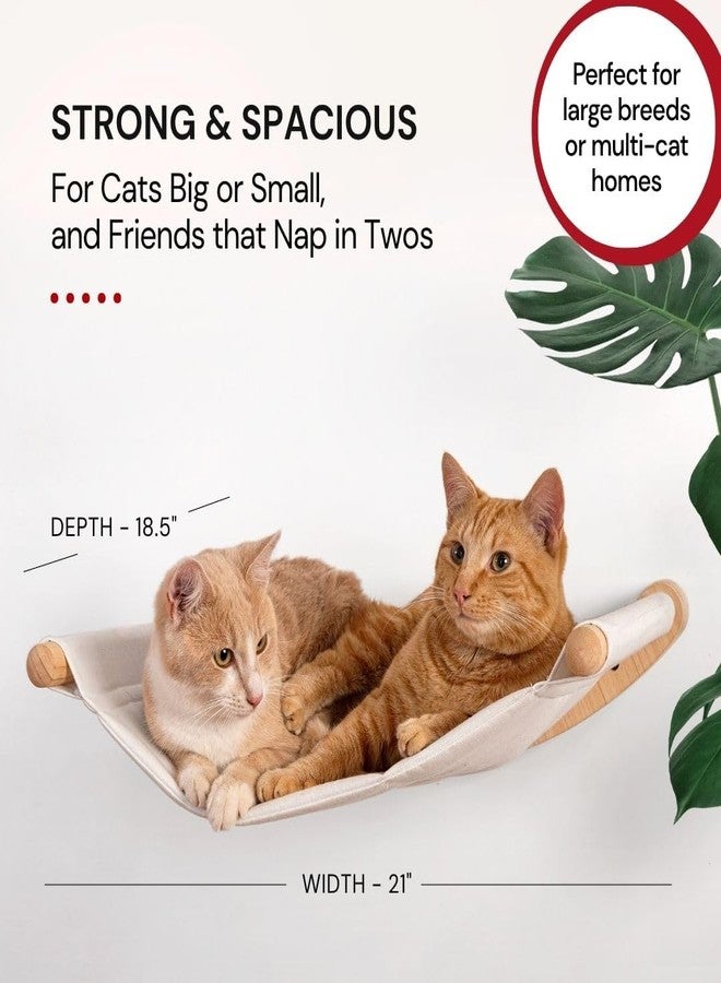 7 Ruby Road Cat Hammock Wall Mounted Shelf with Two Steps Set - Wall Shelves and Perches for Sleeping, Playing, Climbing and Lounging - Modern Cat Bed & Furniture for Indoor and Large Cats or Kitty - Image 3