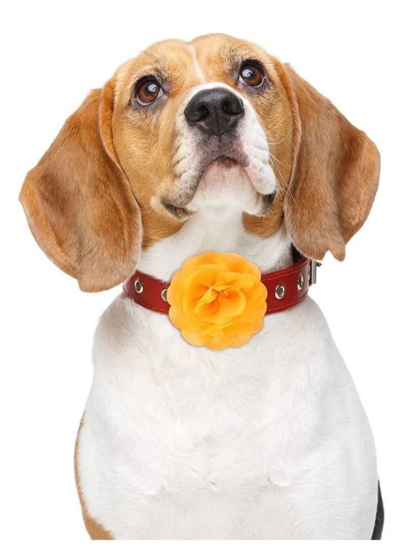 4 Pieces Dog Flower Bow Collar Multicolored Pet Bow Collar Dog Charms Flower Set for Puppy Dog Collar Cat Pet Grooming Accessories - Image 1