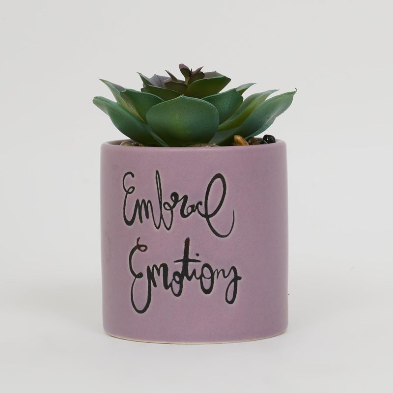 Home Centre Home Centre Garnet Garden Artificial Succulent in Ceramic Planter  - Image 3