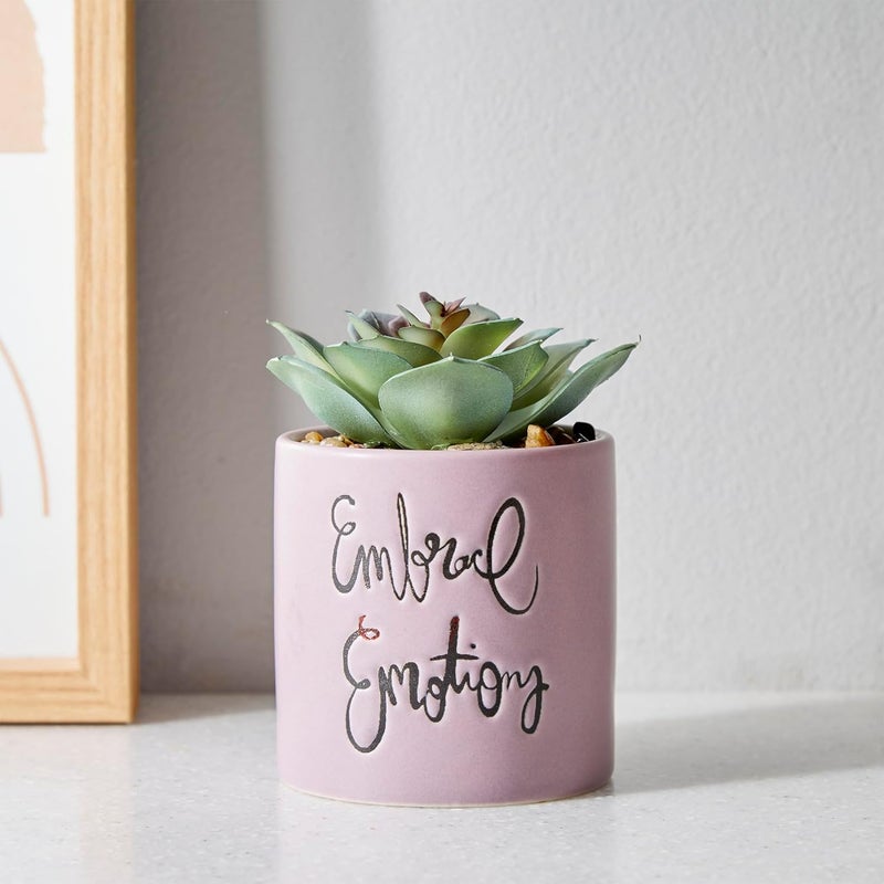 Home Centre Home Centre Garnet Garden Artificial Succulent in Ceramic Planter  - Image 1