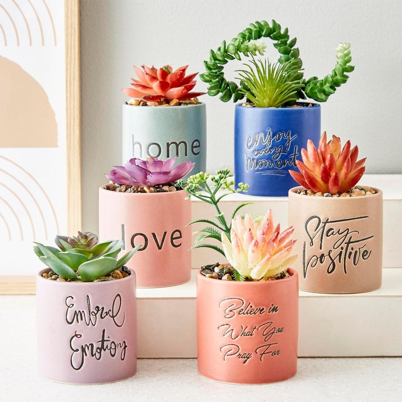 Home Centre Home Centre Garnet Garden Artificial Succulent in Ceramic Planter  - Image 2