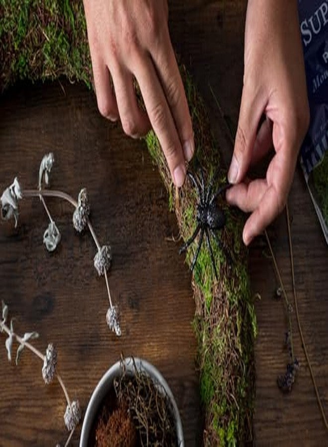 SuperMoss (23309) Moss Mix - Premium Decorative Moss for Crafts, Terrariums, Wedding & Table Décor, 80.75 Cubic inches (Approx. 2 oz), Halloween - Image 3