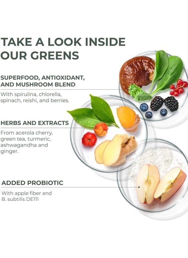 Primal Harvest - Super Greens Powder, 30 Servings w/+50 Greens Superfood Chlorella, Probiotics, Green Tea, Wheatgrass, Kale, Turmeric for Energy,Primal Greens - Image 1