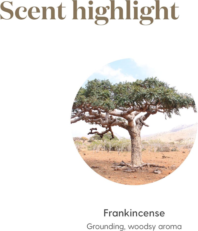 Young Living Frankincense Essential Oil 5ml - Premium Aromatherapy Oil for Holistic Wellness - Image 4