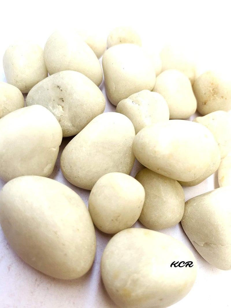 KCR Metallic White Colored Stone Decorative Pebbles for Vase Fillers Party Table Scatter Decoration Aquarium Decor250 Grams - Image 3