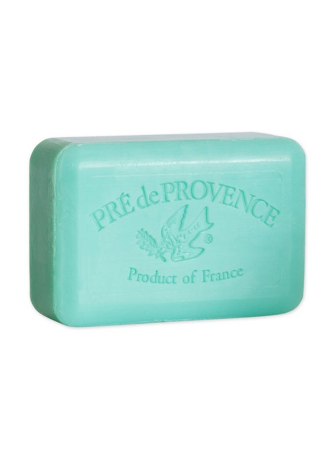 Pre De Provence Artisanal Soap Bar Enriched With Organic Shea Butter Natural French Skincare Quad Milled For Rich Smooth Lather Jade Vine 8.8 Ounce  - Image 1