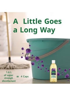 Zoflora Multi-Purpose Concentrated Disinfectant Midnight Blooms 250ml  - Image 5