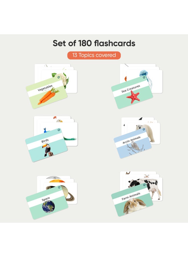 Curious Cub بطاقات فلاش لتعزيز الدماغ للأطفال والرضع بطاقات فلاش للأطفال من 6 أشهر إلى 3 سنوات مجموعة من 180 بطاقة فلاش كبيرة جدًا للتحفيز البصري وتطوير الدماغ المبكر - Image 2