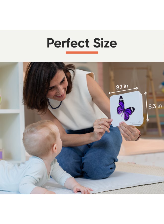 Curious Cub بطاقات فلاش لتعزيز الدماغ للأطفال والرضع بطاقات فلاش للأطفال من 6 أشهر إلى 3 سنوات مجموعة من 180 بطاقة فلاش كبيرة جدًا للتحفيز البصري وتطوير الدماغ المبكر - Image 5