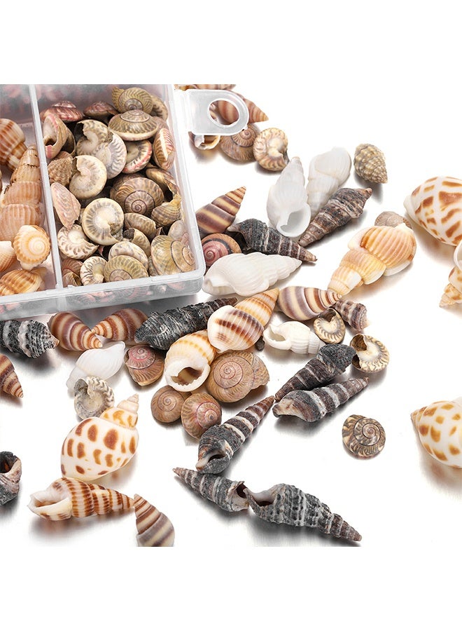 Ocean 100 PCS Open Back Natural Spiral Shell Beads, Spiral Conch Shells Charms, Beach Seashells Beads, Suitable For DIY Craft Jewelry Making, Home Or Wedding Decoration  - Image 2