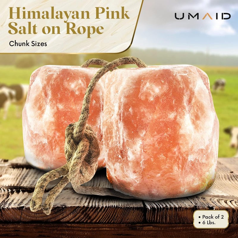 UmAid Himalayan Salt Lick 6 lbs On Rope for Horse, Deer, Goat, and Livestock Animals - Himalayan Salt Block 2 Pack - Image 2