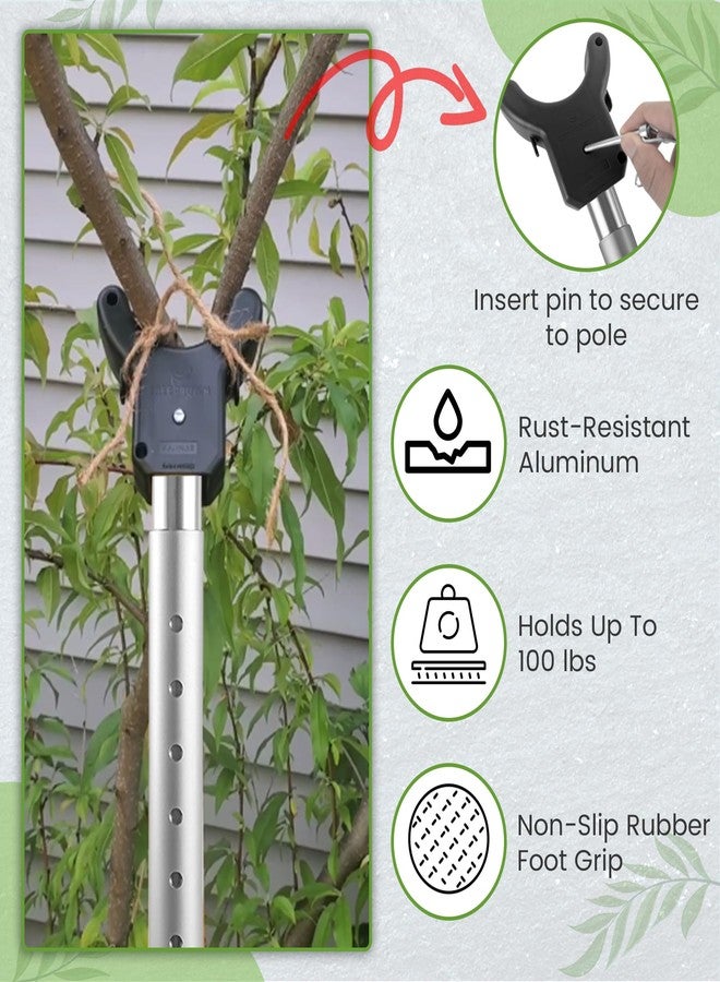 Kalinar Tree Crutch Post - Image 4