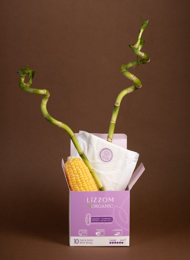 LiZZOM وسادات ليزوم العضوية السميكة الليلية (عبوة من 3) - حجم كبير مع أجنحة - 30 قطعة. شعور جاف | خالية من البلاستيك | مضادة للبكتيريا | خالية من الروائح والطفح الجلدي. - Image 2