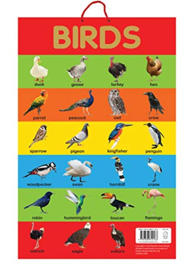 Birds - Early Learning Educational Posters For Children: Perfect For Kindergarten, Nursery and Homes