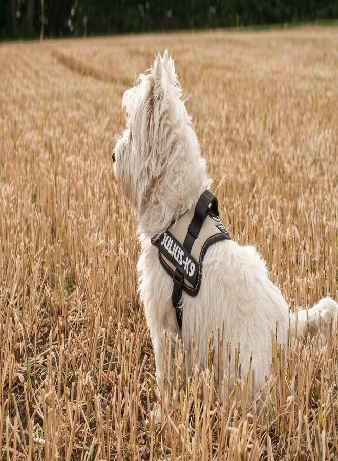 جوليوس كيه 9 حزام جوليوس-كي 9 باور هارنس، بيبي 1، إيرث - Image 5