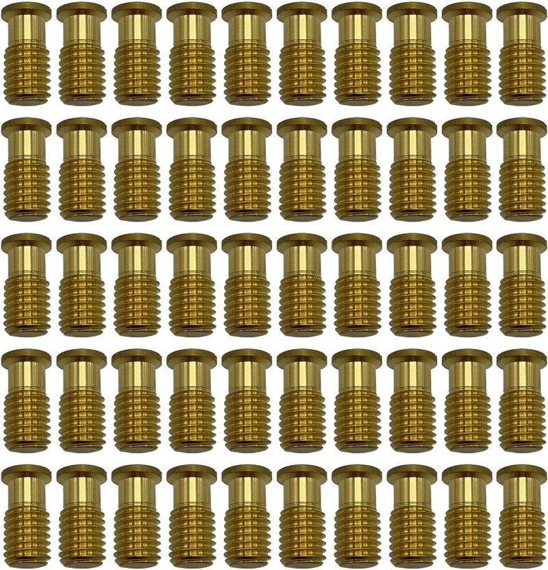 Bargain Brass براغي برونزية مدببة 50 حزمة لتغطية أمان المسبح من بولزيلا - Image 1