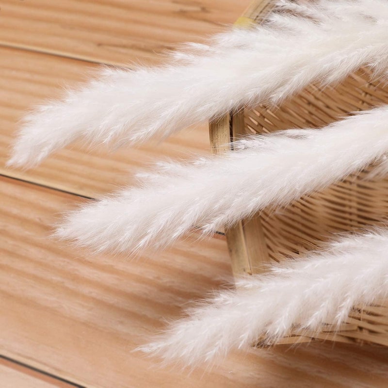 Comtelek 30 Pcs White Pampas Grass ,17 inch/45 cm Natural Dried Pampas Grass Branches Decor for Home Kitchen Garden Party Photographing Flower Arrangement Vase Decor（White - Image 4