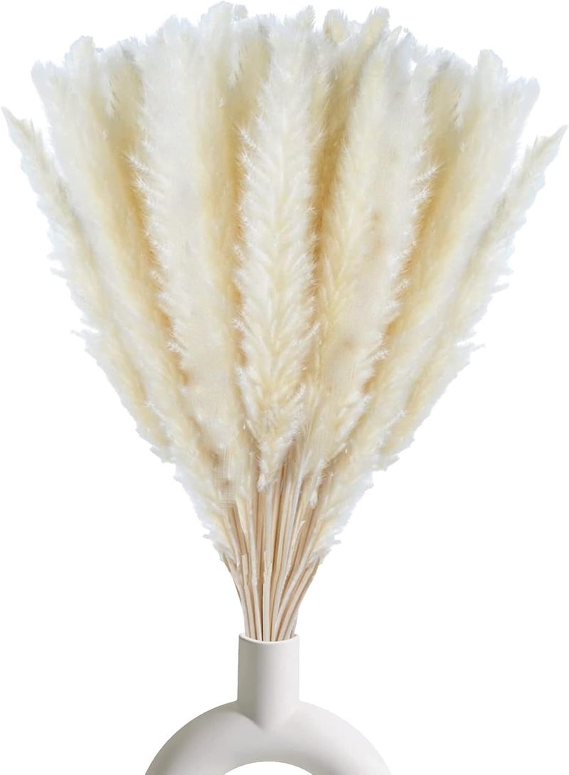 Comtelek 30 Pcs White Pampas Grass ,17 inch/45 cm Natural Dried Pampas Grass Branches Decor for Home Kitchen Garden Party Photographing Flower Arrangement Vase Decor（White - Image 1