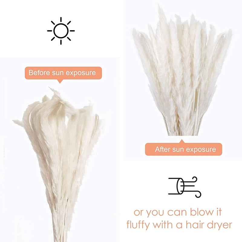 Comtelek 30 Pcs White Pampas Grass ,17 inch/45 cm Natural Dried Pampas Grass Branches Decor for Home Kitchen Garden Party Photographing Flower Arrangement Vase Decor（White - Image 2