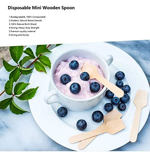 G1 G 1 Disposable Wooden Spoon Square end 95 mm | Mini Taster Spoon | Ice Cream Spoon | Pastry Spoon | Eco Friendly and bio degradable (Pack of 100) - Image 2