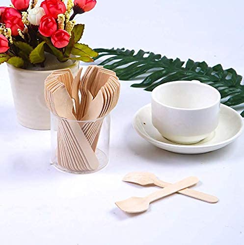 G1 G 1 Disposable Wooden Spoon Square end 95 mm | Mini Taster Spoon | Ice Cream Spoon | Pastry Spoon | Eco Friendly and bio degradable (Pack of 100) - Image 3