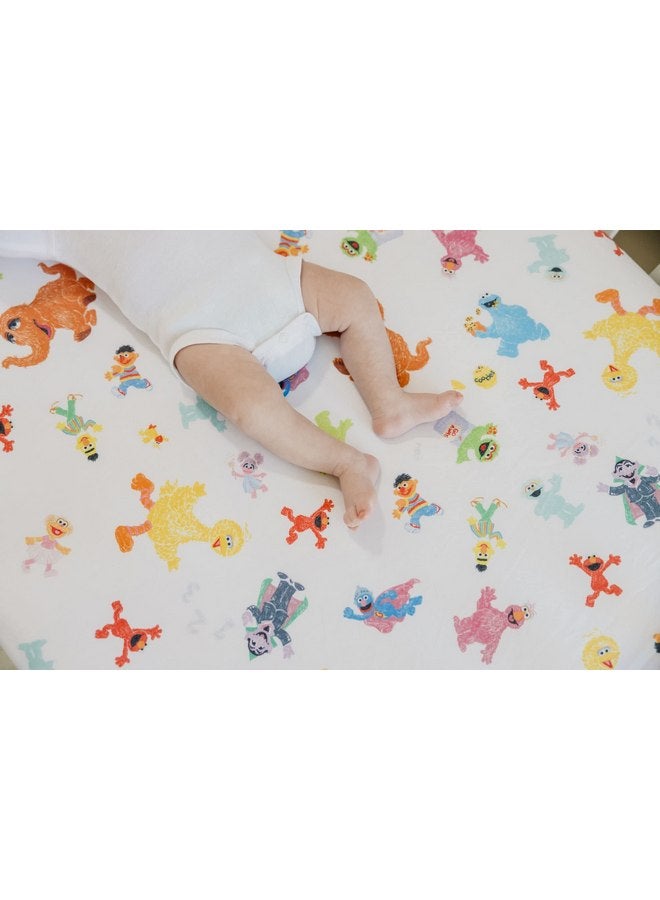 Copper Pearl Premium Knit Baby Crib Sheets for Boys and Girls by Copper Pearl: Breathable and Soft, Fitted Crib Sheets for Standard Baby Mattresses, Crib Sheet for Baby Registry or Shower Gift, Sesame Friends - Image 4