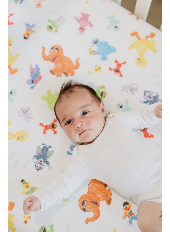 Copper Pearl Premium Knit Baby Crib Sheets for Boys and Girls by Copper Pearl: Breathable and Soft, Fitted Crib Sheets for Standard Baby Mattresses, Crib Sheet for Baby Registry or Shower Gift, Sesame Friends - Image 5