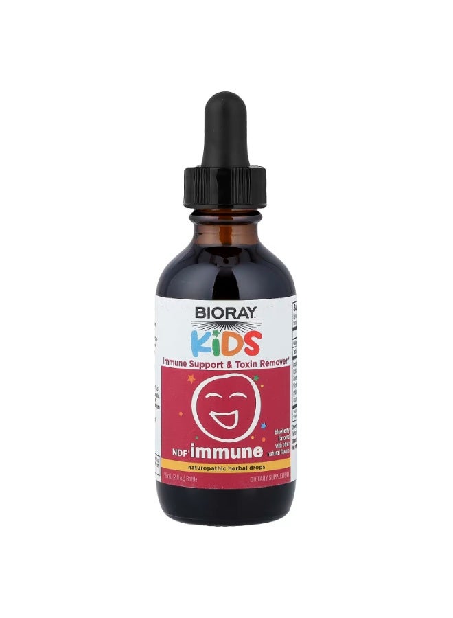 Bioray, Kids, Immune Support & Toxin Remover, Blueberry, 2 fl oz (59 ml) - Image 2