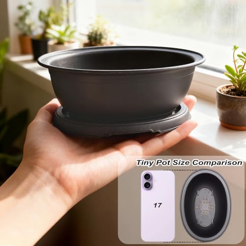 MUZHI 3 Pack Oval Bonsai Training Pot with Drainage Tray, Matte Finish Nursery Plastic Bonsai Planter with 25PCS 2inch Mesh pad (5.2" Small) - Image 5