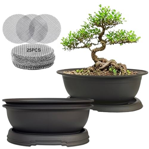 MUZHI 3 Pack Oval Bonsai Training Pot with Drainage Tray, Matte Finish Nursery Plastic Bonsai Planter with 25PCS 2inch Mesh pad (5.2" Small) - Image 1