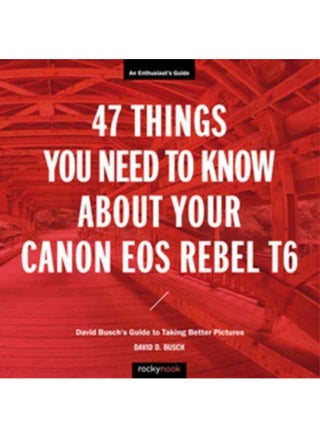 47 Things You Need to Know About Your Canon EOS Rebel T6 : David Busch's Guide to Taking Better Pictures - pzsku/Z4317BA95610D574858E0Z/45/_/1721456229/c3835fc2-f0f6-4f4b-9909-8b20c511df5a
