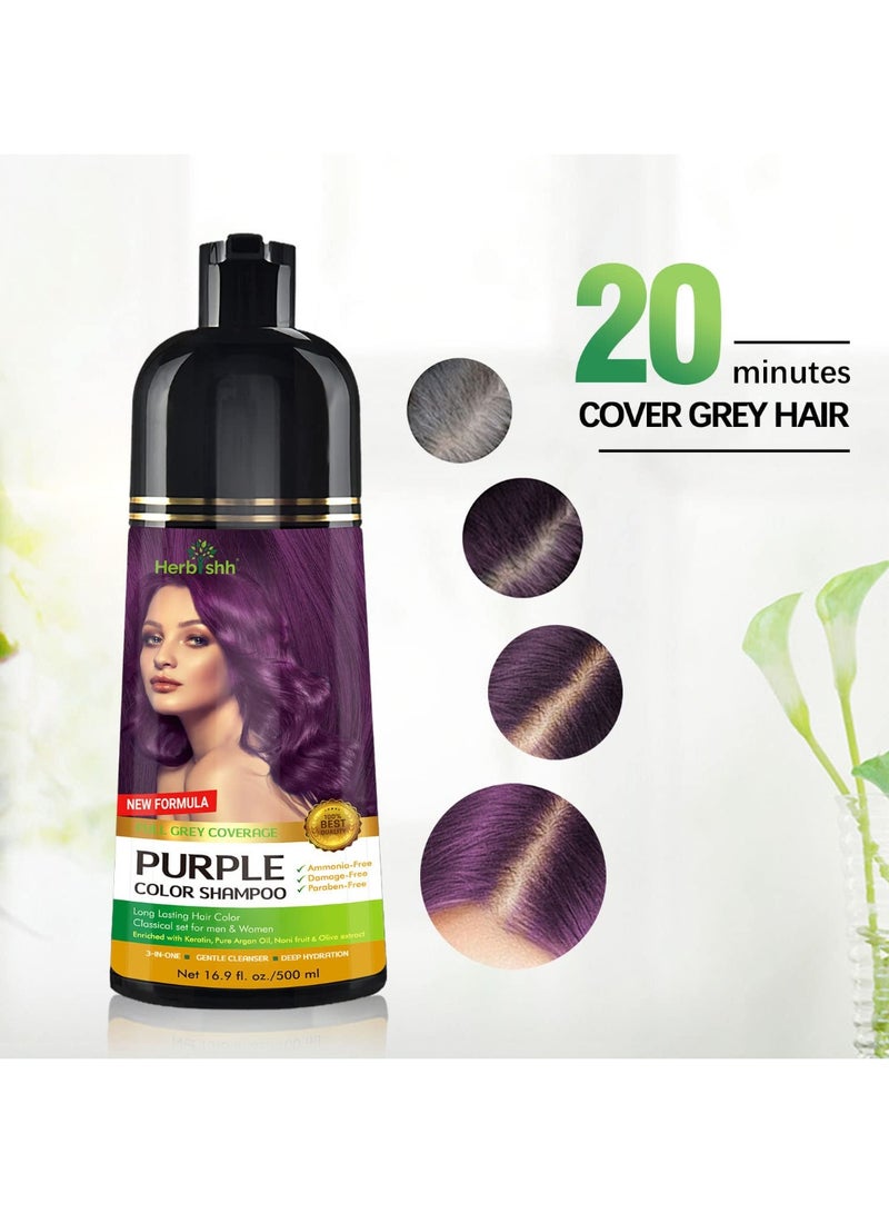 Herbishh Purple Hair Color Shampoo for Gray Hair - 3-in-1 Ammonia-Free Natural Hair Dye - 500 ml - Image 2